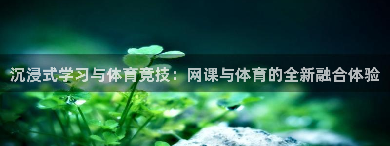 中欧体育网站
