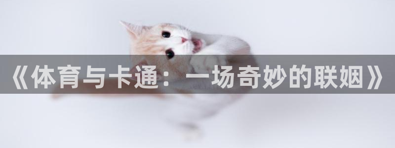 中欧体育全站app