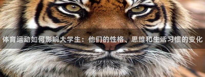 中欧体育
