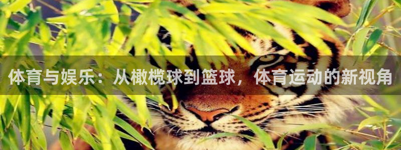 kok新版中欧体育