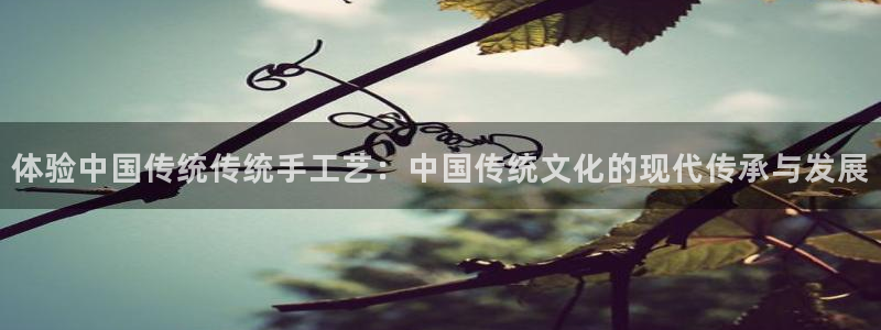 kok中欧体育登录