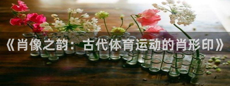 中欧体育zoty下载