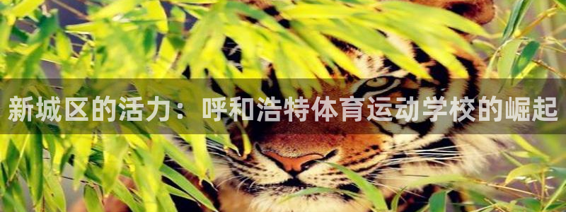zoty中欧体育