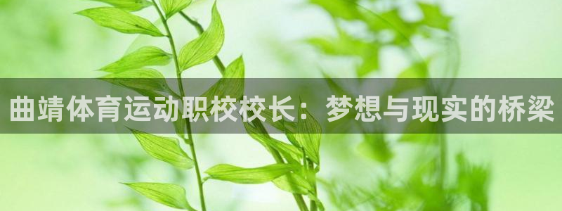 zoty中欧体育网址多少