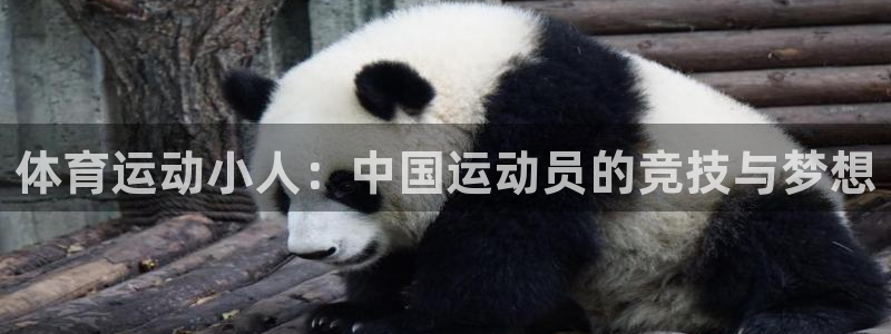 中欧体育集团