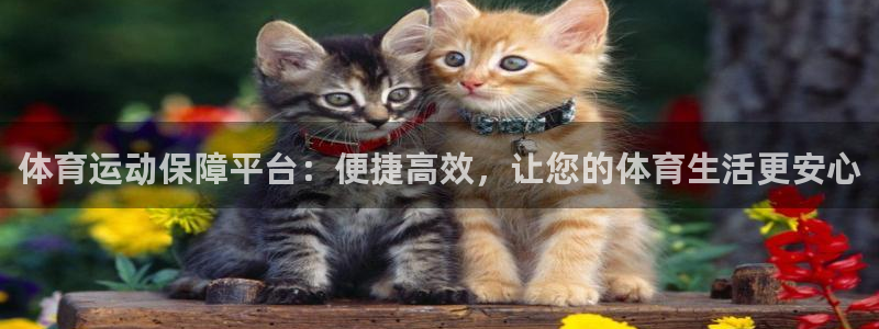 kok中欧体育