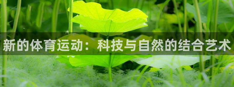 中欧体育网址