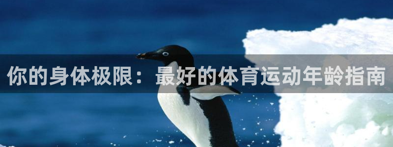 中欧体育ac米兰