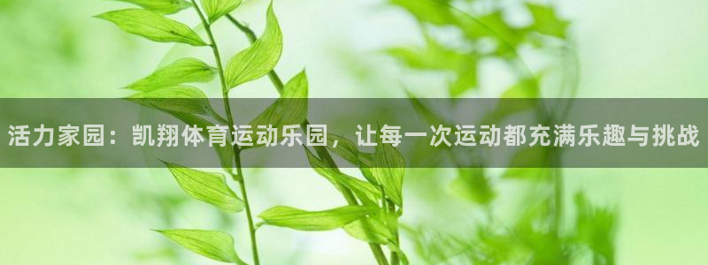 中欧体育