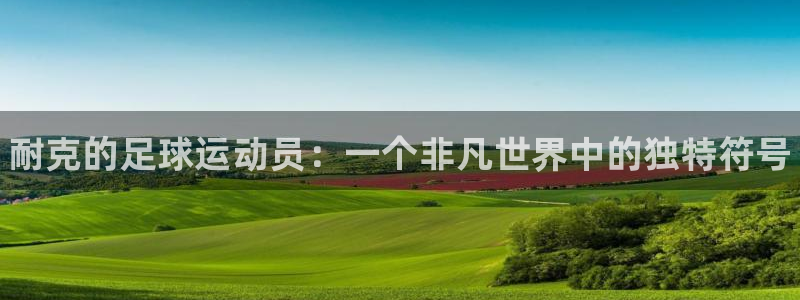中欧体育网址