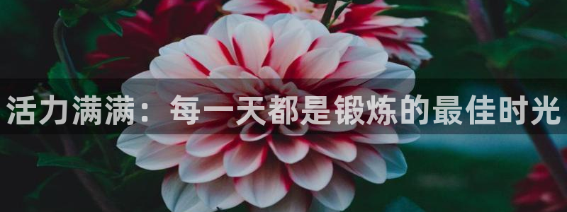 中欧体育app