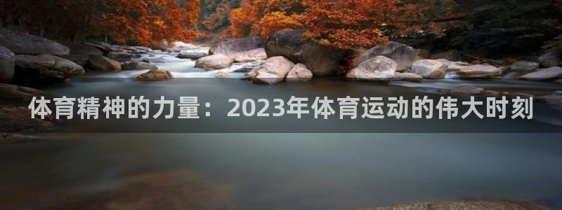 中欧体育官网入口
