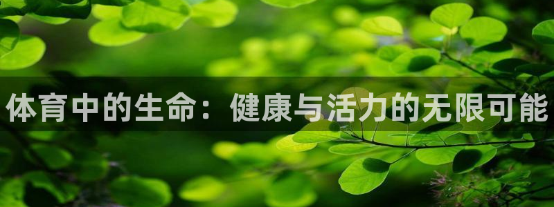 中欧体育官网
