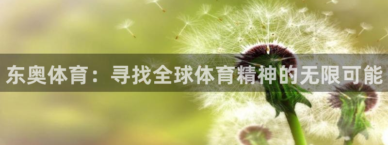 中欧体育