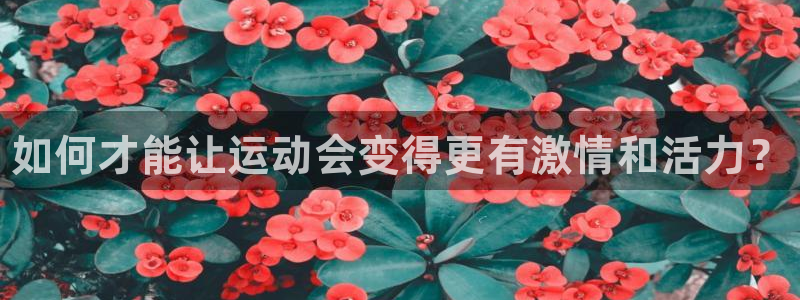 中欧体育官网入口