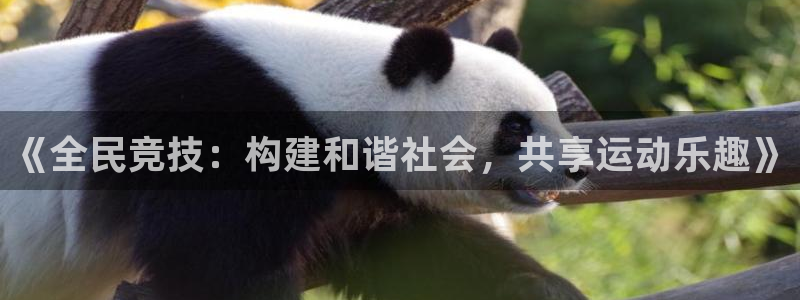 zoty中欧体育网址多少