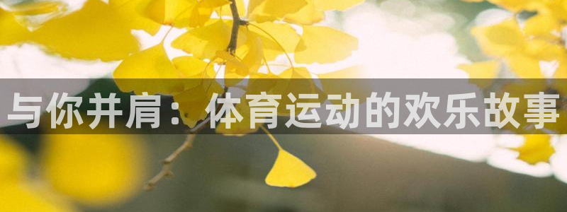 中欧体育网站