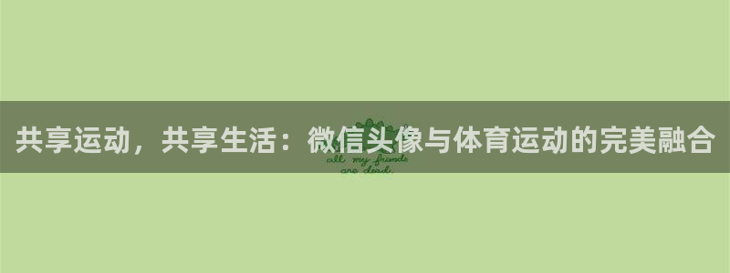中欧体育zoty下载