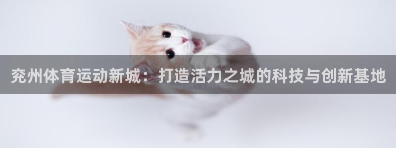 中欧体育zoty下载
