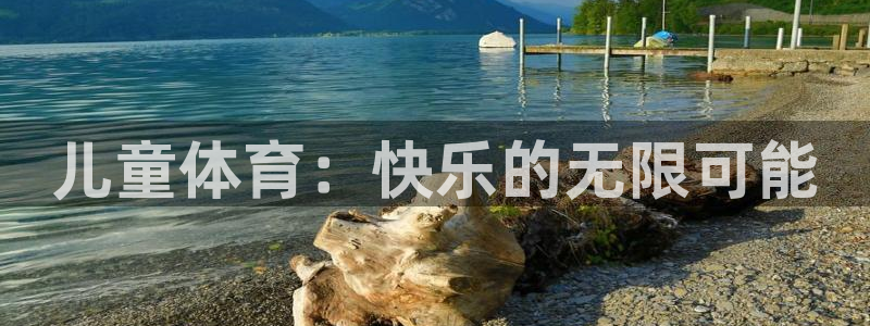 中欧体育集团
