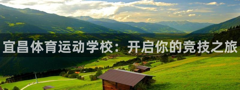 中欧体育集团