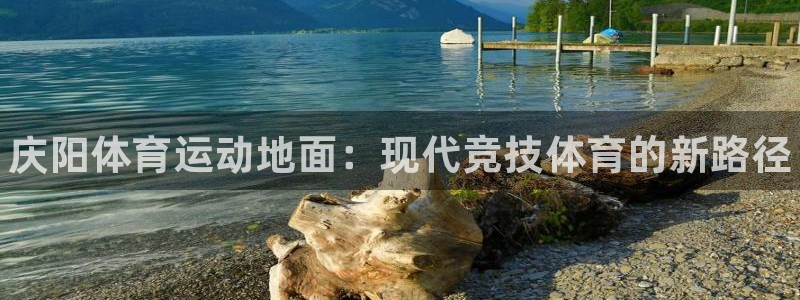 中欧体育zoty下载