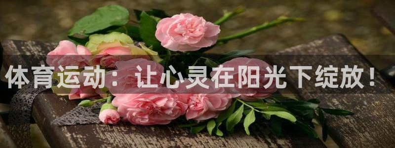 中欧体育下载