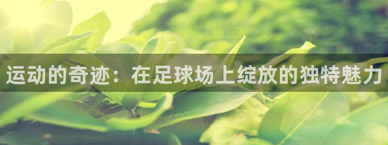 kok中欧体育登录