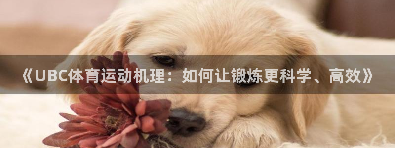 中欧体育zoty下载