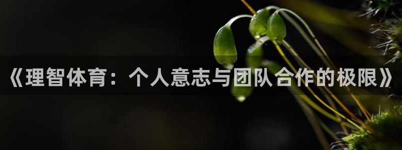 中欧体育全站app