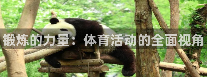 中欧体育(zoty)官网