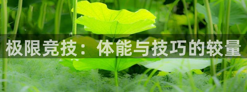 中欧体育在线