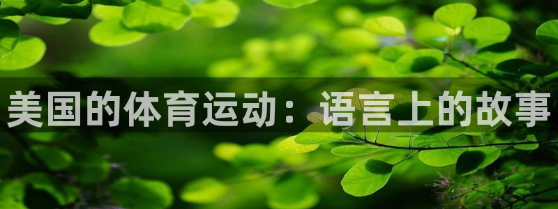 中欧体育网页登录