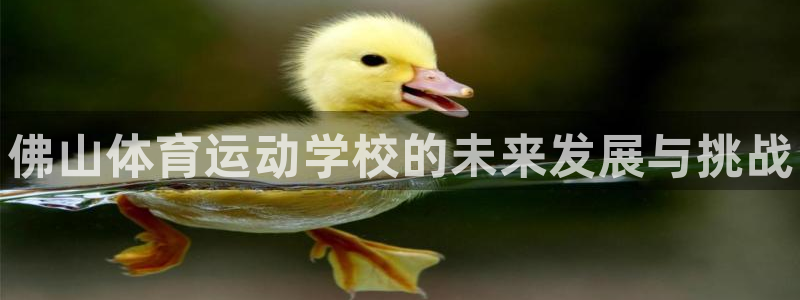 kok新版中欧体育